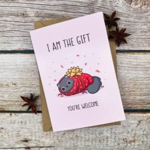 Perfect Gift Birthday Card