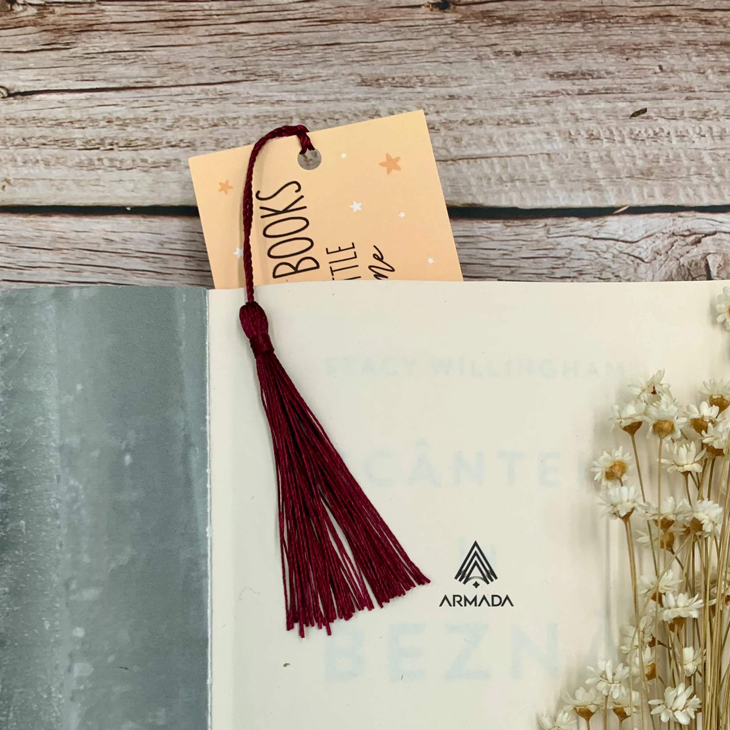 Reading Dilemma Bookmark - Image 3